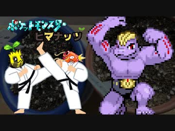 【実況】「ヒマナッツがひんしになった数」だけ現実でひまわりを育てる縛り（Part6）