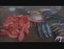 ２０２０年８月３日　夜の船釣り