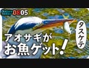 0805【アオサギの捕食】カルガモ親子奇形組。子ガモVS亀。マガモ捕食。カマキリ捕食【今日撮り野鳥動画まとめ】身近な生き物語