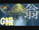 ナバルデウス亜種を倒してＧ級になる。しかし実態は通常主のほうが個人的に嫌いだった【MH3G.HDver】