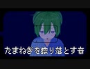 【ASMR:癒し】たまねぎをすりおろす音