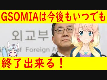 【韓国の反応】GSOMIAはもう1年毎に延長の概念は適用されない！いつでも終了出来る！【世界の〇〇にゅーす】