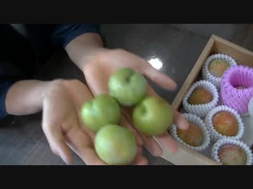 陰キャの【家庭菜園】3年目　番外編　その２
