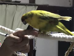私たちは名コンビ