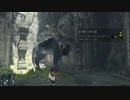 【実況】ワシと大鷲のお話。「人喰いの大鷲トリコ」part7