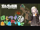 【ゼルダの伝説BotW】ほしつきありあわいるどPart30【VOICeVI実況】