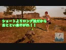 ショートよりロング派の男のＰＵＢＧ
