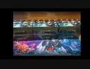 ダブマスの前に何灯争大戦6BOX開封してるんだよ　　　開封大好きゴンおっさん【mtg】【灯争大戦編】