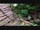 日本百名山追体験 7山目 那須岳 part5 後編
