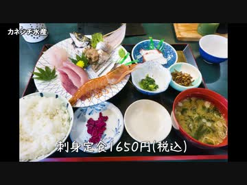 【HONDA】房総半島に海鮮食いに行ったよ【VFR800】