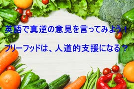 英語で真逆の意見を言ってみよう！フリーフッドは、人道的支援になる？