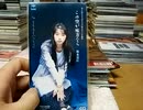 [実況] うちの家のリフォーム地下倉庫整理中 20日目（8cmシングルCD編）その2