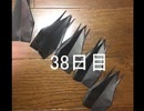 黒折り紙で千羽鶴を作っていく　38日目