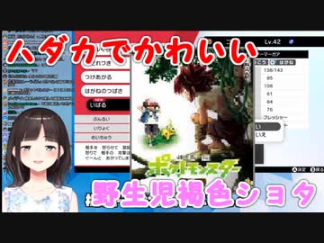 鈴鹿詩子、「不純な眼差しでポケモンを見ないで」と言われ反論する