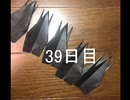 黒折り紙で千羽鶴を作っていく　39日目