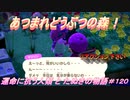 【あつ森】前人未島へようこそ！#120【あつまれどうぶつの森】