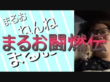 まるお的おねんね生活