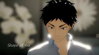 【MMDHQ!!】二年生でShape of You【梟谷・白鳥沢・稲荷崎】