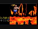 【TS録画】スーパードンキーコング2 102%RTA 実演＆解説 W2編