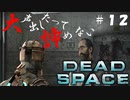 【石村】大声出したって諦めないDEADSPACE実況　part12