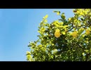 【Fate/UTAU】衛宮士郎でLemon