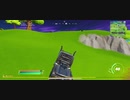 やはり雑魚のFortnite