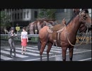 ◉情緒がガバガバだけど巨影都市で生き残るpart23◉