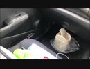 高田健志 20/08/07 昼 ツイキャス車載 神奈川→福岡 10/17