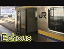 Echous