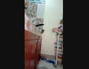 東南アジア美女の部屋Southeast Asian Beauty lady Room