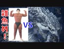 (MHW #2)アルバ戦の汚名返上を強くなったベリオで果たす男