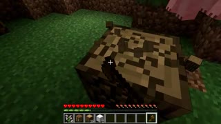 1パートごとに性格が変わるマインクラフト　虚無編END