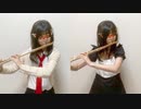 フルートで「スカイクラッドの観測者」(シュタゲOP)演奏してみた【みり】