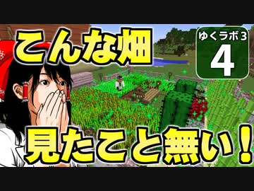 【Minecraft】ゆくラボ３～魔法世界でリケジョ無双～ Part.4【ゆっくり実況】