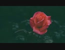 癒えない痛み (Instrumental)