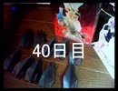 黒折り紙で千羽鶴を作っていく　40日目