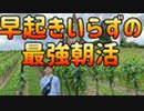 早起きしなくても丸一日うまくいく【15分の朝活】とは