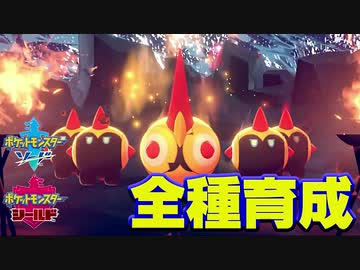 ポケモン剣盾実況 全種育成その23 タイレーツ Nicozon