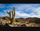 Desert Wind (Instrumental)