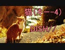 DISH//の「猫」を歌ってみた！（キー－4）