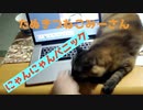 にゃんにゃんパニック【みーさん】