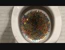 M&M'sとオービーズをトイレに流してみた１