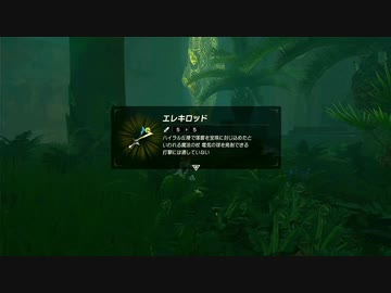 【ゼルダの伝説BotW】最終剣に憧れてBotW part26【初見実況】