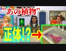 【The Sims4】マザープラント戦をなんかよりそれっぽくしてみた【劇場という名の茶番】