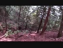 (普通に山歩き回)変態忍者の、有害鳥獣駆除従事活動記・その１１９