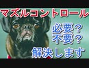 下手をすれば関係崩壊！？マズルコントロールと上手に付き合う【犬】