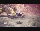 【MHW:I】遅ればせながら、アイスボーンに挑んでみた【初見】第30狩猟