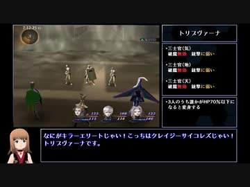 【DDS】DIGITAL DEVIL SAGA アバタール・チューナー 1&amp;2連続RTA 12時間21分 part13
