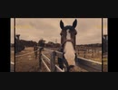 引退競走馬の【Vlog】part14