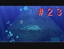 【実況】海は広いな大きいな【ペーパーマリオ オリガミキング】Part23